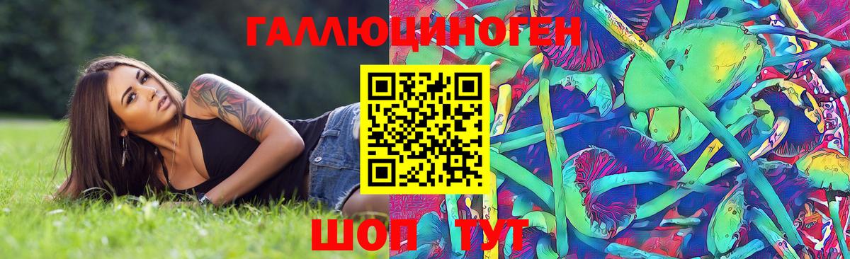 Галлюциногенные грибы Psilocybine cubensis Каменка