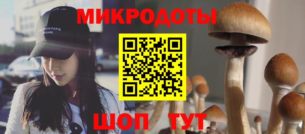 Каменка  Псилоцибиновые грибы Magic Shrooms  Вход с VPN 